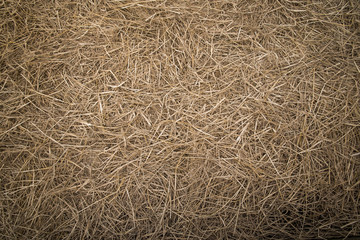 Straw