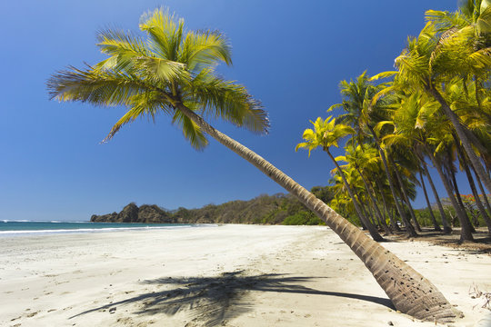 Beautiful palm fringed, white sand Playa Carrillo, Carrillo, nr Samara, Guanacaste Province, Nicoya Peninsula