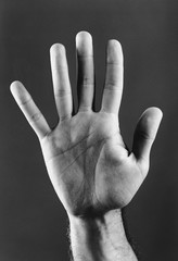 Palm of hand (b&w) (close-up)