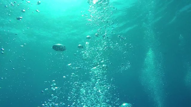 UNDERWATER: Numerous small air bubbles rising up to the smooth ocean surface  