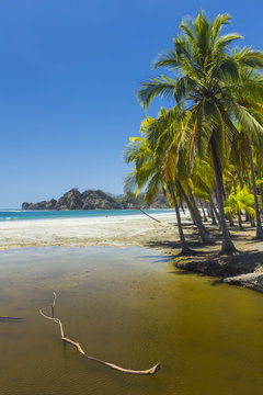 Dry season river mouth at palm fringed Playa Carrillo, Carrillo, near Samara, Guanacaste Province, Nicoya Peninsula