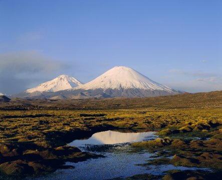 Volcan Parinacota and Volcan Pomerape, Lauca National Park, Chile