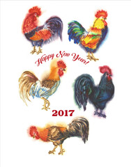 Watercolor Rooster. Hand drawn illustration