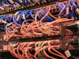 Information Technology Computer Network, Ethernet Cables Connected to Internet Switch