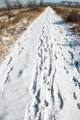 Fototapeta na wymiar Footprints in the snow path