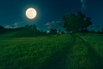 beautiful landscape of natural grass hill in full moon night.