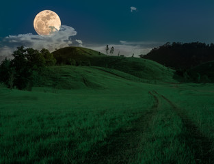 landscape of nature green grass hill under full moon light night.