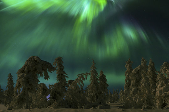 Northern Lights - Aurora borealis over snow-covered forest. Beautiful picture of massive multicoloured green vibrant Aurora Borealis, Aurora Polaris, also know as Northern Lights in the night sky 