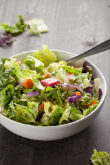 Italian salad with freshly harvested organic vegetables including endive, red cabbage, carrots, butter heart lettuce, romaine, and green lettuce with Italian dressing in a white ceramic bowl