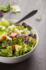 Italian salad with freshly harvested organic vegetables including endive, red cabbage, carrots, butter heart lettuce, romaine, and green lettuce with Italian dressing on dark wood