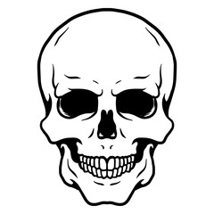 Skull Logo Vector - 129863225