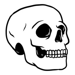 Skull Logo Vector