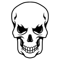 Fototapeta premium Skull Logo Vector