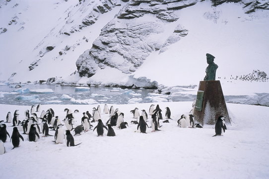 Point Wild, where Shackleton's men were rescued in 1916, one of the most historic locations in the Antarctic, Elephant Island, Antarctica