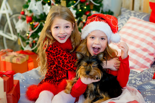Happy Little girls and dog at Christmas