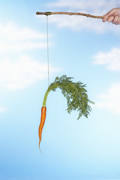 Man dangling carrot from stick against sky