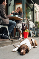 Blurred young couple at cafe with dog resting on sidewalk