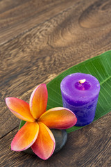 Spa concept - plumeria and candle on wooden texture