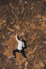 Rear view of rock climber climbing up a cliff