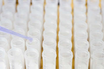Closeup of pipette pouring liquid into test tubes