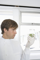 Male scientist examining glass jar of plant material in laboratory