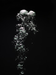 Water bubbles on black background - obrazy, fototapety, plakaty
