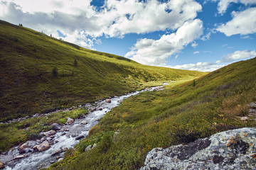 Fototapeta na wymiar Journey on foot through the mountain valleys. The beauty of wildlife. Altai, the road to Shavlinsky lakes. Hike