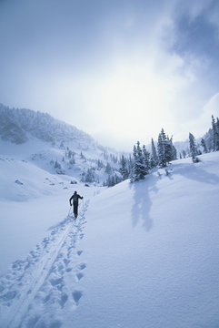 Rear view of skier walking through snow mountains