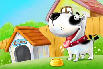 The dog is hungry . It sit wait foods from owner.