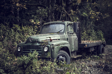 Old abandon truck in forrest