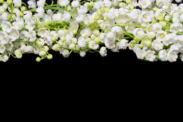 convallaria flowers