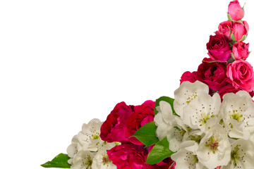 roses and pear flowers