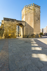 Fototapeta premium Torre de la Malmuerta, Cordoba, Andalusiz, Spain