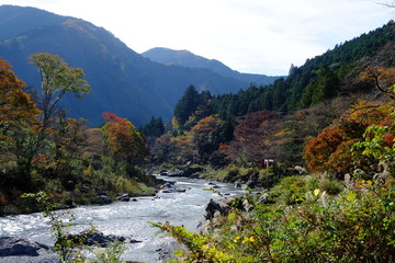 Fototapeta na wymiar 御岳渓谷の秋