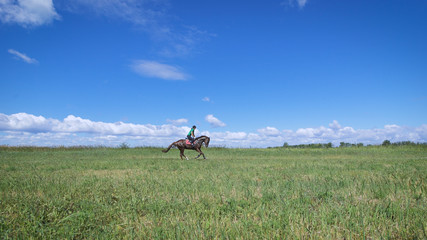 Young woman riding a horse on the green field