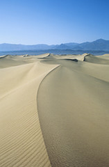 Ridge of sand dune