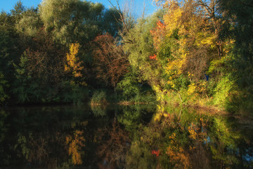 Autumn morning in park