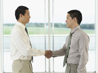 Side view of two businessmen shaking hands in front of window