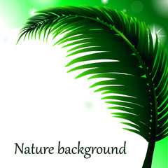 Eco summer white background with a green palm branch