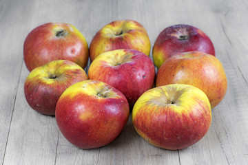 Fototapeta na wymiar pommes variétée Janagold du verger 