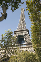View of Eiffel tower through trees against blue sky at Paris, France