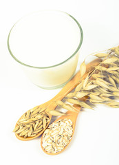 Oat milk, the concept of a vegetarian diet. White background.