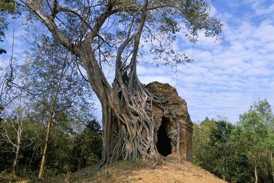 Pre-Ankorian site of Sambor Prei Kuk, Prasat Trapeang Ropaeak complex, Kompong Thom, Cambodia