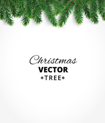 Fototapeta na wymiar Background with vector christmas tree branches and space for text