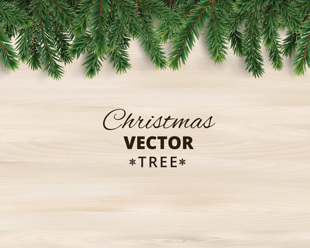 Christmas tree branches on wooden background, vector illustration