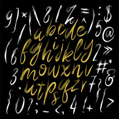 Brush painted letters. Hand drawn alphabet