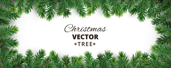 Banner with vector christmas tree branches and space for text. - Powered by Adobe