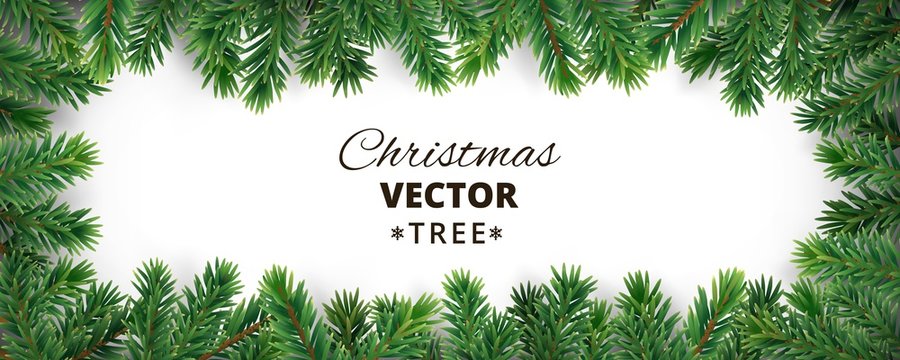 Banner with vector christmas tree branches and space for text.