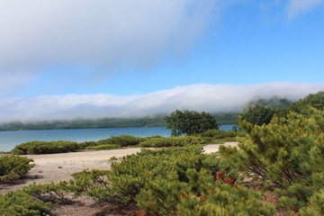 Fototapeta premium landscape