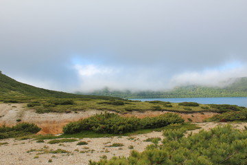 Fototapeta premium landscape